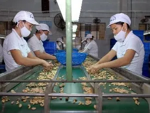 Hiệp định đối tác Xuyên Thái Bình Dương và cơ hội cho các doanh nghiệp
