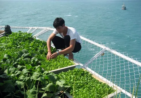 Việc học tập Bác tại Nhà giàn DK1/10