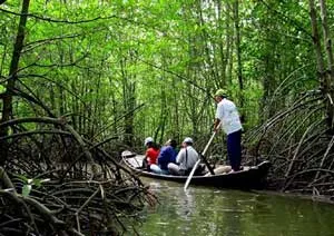 Phó bí thư Thành ủy TP.HCM Nguyễn Văn Đua chúc Tết Ban quản lý rừng phòng hộ Cần Giờ