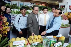Khởi sắc Nông thôn mới