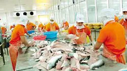 Mục tiêu 2013, kim ngạch xuất khẩu khoảng 126 tỷ USD