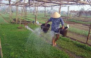 Xã Xuân Thới Thượng đạt 18/19 tiêu chí xây dựng Nông thôn mới