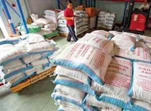 Triển khai thu mua 1 triệu tấn gạo tạm trữ vụ Đông Xuân