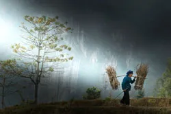 Triển lãm ảnh nghệ thuật với chủ đề Phụ nữ và cuộc sống