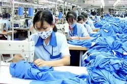 Cần có sự bình đẳng trong độ tuổi nghỉ hưu