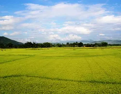 Đoàn viên, thanh niên thành phố góp ý Dự thảo Luật Đất đai sửa đổi