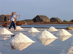 Sản lượng muối quý I/2013 đạt trên 253.000 tấn