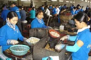 Lối đi nào cho nông sản Việt