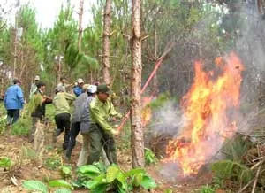 Phòng chống cháy rừng– Nhiệm vụ không của riêng ai!