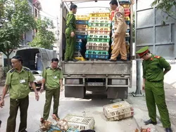 TPHCM: Phòng, chống dịch cúm gia cầm còn nhiều bất cập