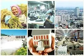 TP.HCM: Trên 7800 doanh nghiệp thành lập mới và tái hoạt động