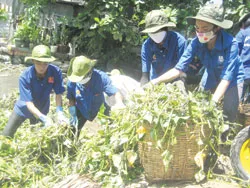 Triển khai thi công dự án chỉnh trang, xây dựng hệ thống thoát nước rạch Dừa