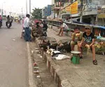 Gò Vấp tăng cường kiểm tra, xử lý tình trạng buôn bán gia cầm trái phép