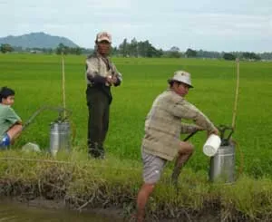 Cần chú trọng công tác bảo vệ và kiểm dịch thực vật