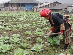 Hơn 40 phóng viên toàn quốc tham gia lớp tập huấn về Quản lý và sử dụng đất đai