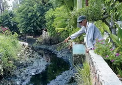 Các cụm công nghiệp tự phát đang là mối lo về môi trường