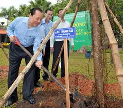 Năm 2013, THCM phát động trồng 1 triệu cây xanh các loại