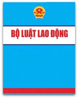 Quận 5: Tập huấn Luật lao động sửa đổi cho 1.300 cán bộ công đoàn và CNVC