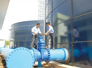 Cần Giờ sẽ không còn thiếu nước máy