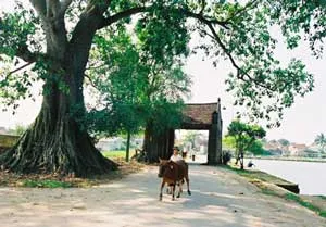 VĐHN: Bảo tồn phải cân bằng với an sinh xã hội