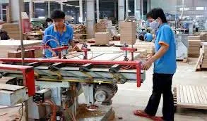 Chiến lược phát triển ngành gỗ: lấy chế biến làm trung tâm để phát triển các ngành phụ trợ 