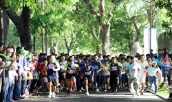 Ngày hội thanh niên khỏe Cụm Dịch vụ năm 2013