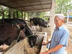 HĐND TPHCM khảo sát đời sống ngoại thành