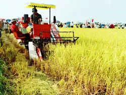 3 năm hỗ trợ mua máy nông nghiệp, dư nợ cho vay hơn 1.230 tỷ đồng