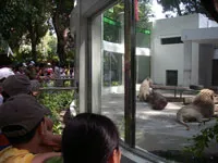Nhiều hoạt động vui chơi hè 2013 tại Thảo Cầm Viên