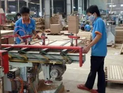 Cơ hội hợp tác giữa ngành chế biến gỗ Việt Nam và các doanh nghiệp Ý
