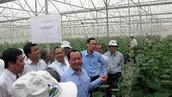 Nông nghiệp TPHCM giữ mức tăng trưởng ấn tượng