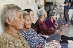 Góp ý cho dự thảo chương trình hành động về Người cao tuổi thành phố  2013 - 2020