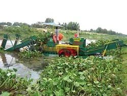 Chủ tịch UBND TPHCM khảo sát thực tế việc vớt, xử lý lục bình trên sông
