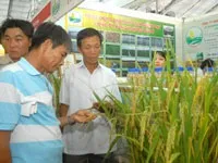 Hội chợ giống nông nghiệp: 4 ngày, 72 hợp đồng giống được ký kết