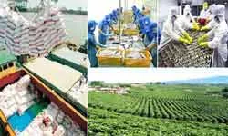 Phấn đấu đưa nông nghiệp, nông dân và nông thôn cả nước hội nhập và phát triển