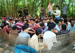 Cần lắm văn hóa nông thôn mới!