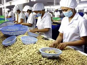 Doanh nghiệp điều cần liên kết lại