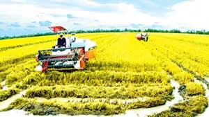 Cần chuyển đổi phương thức sản xuất và quản lý để cùng có lợi