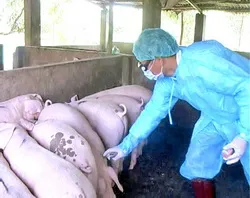 Chi cục Thú y Đồng Nai: Cán bộ vi phạm sẽ kỷ luật nghiêm