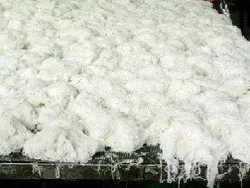 16/120 mẫu kiểm nghiệm không đạt chỉ tiêu an toàn vệ sinh thực phẩm