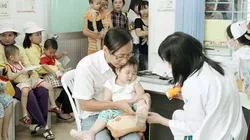 TP.HCM: 8 tháng đầu năm sốt xuất huyết giảm 38%