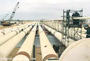 EVN bảm bảo cung cấp điện trong lúc Nhà máy xử lý khí Nam Côn Sơn bảo dưỡng