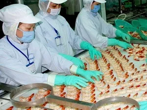 DOC ra quyết định mức thuế 0% cho tôm nước ấm đông lạnh Việt Nam