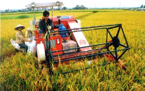 Khi Nghị quyết tam nông đi vào đời sống