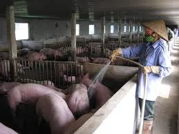 Đồng hành hỗ trợ thanh niên nông thôn phát triển kinh tế gia đình