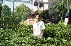 Hiệu quả từ hướng đi mới của nông nghiệp đô thị