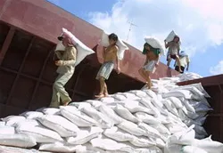 Xuất khẩu gạo thế giới đạt trên 21 triệu tấn