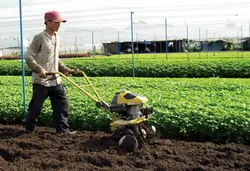 TPHCM tổ chức Hội thi kiến thức môi trường cho nông dân