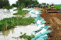 Lũ ở ĐBSCL tiếp tục lên nhanh, đề phòng ngập úng vùng trũng thấp