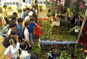 Ngày hội “Hoa của đất” - Tuổi trẻ tham gia xây dựng nông thôn mới